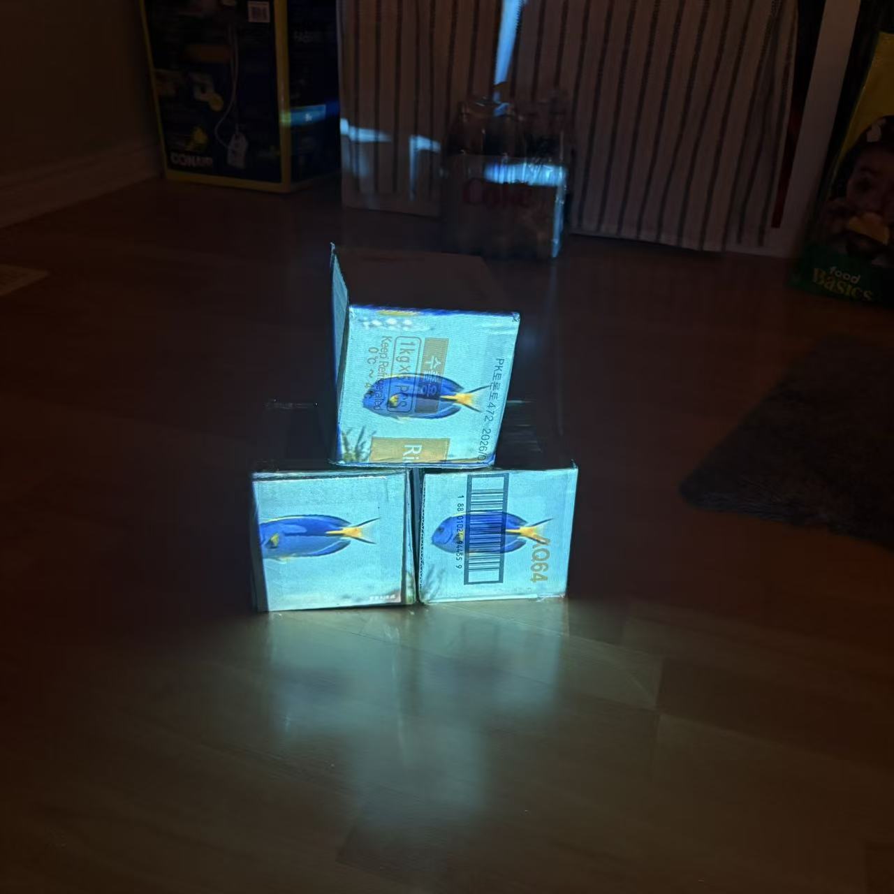 Initial attempt: Apply the animated fish swimming graphic to the cardboard box and ensure the animation plays correctly.